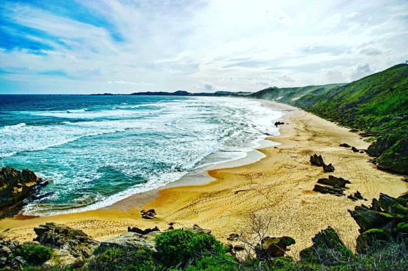 15bc865a-3bc1-4da4-a498-04d2a1d9214d